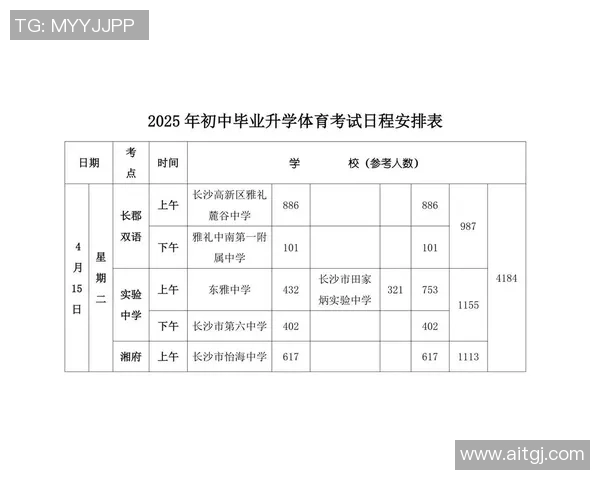 以赛程为核心，全面解析赛事安排与时间节点的合理布局