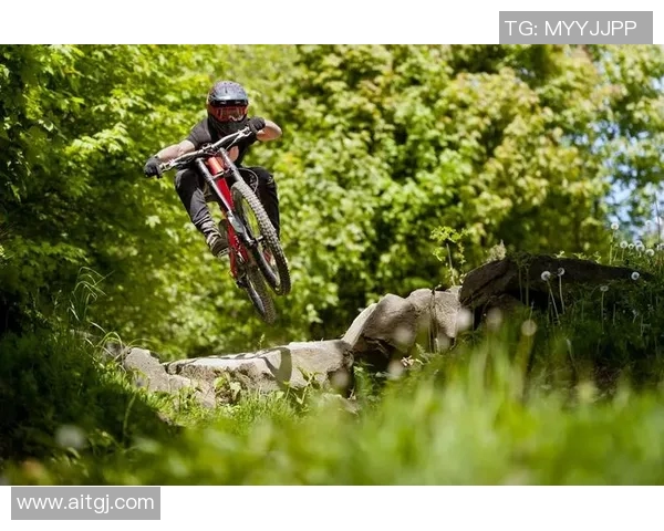 深入分析IG战队的盯防战术及其在比赛中的应用与效果